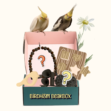 Subscribe to the Birdhism BeakBox for your Flock!