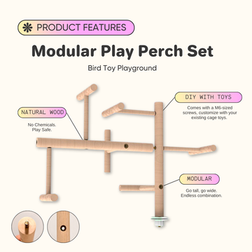 Modular Play Perch Bird Playground Bundle(Set of 4)